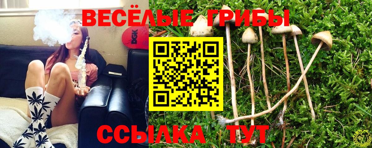 Ахтубинск  Псилоцибиновые грибы Magic Shrooms  Вход с VPN  Псилоцибиновые грибы Psilocybe 